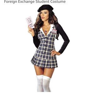 EUC Sexy Schoolgirl Costume 😍